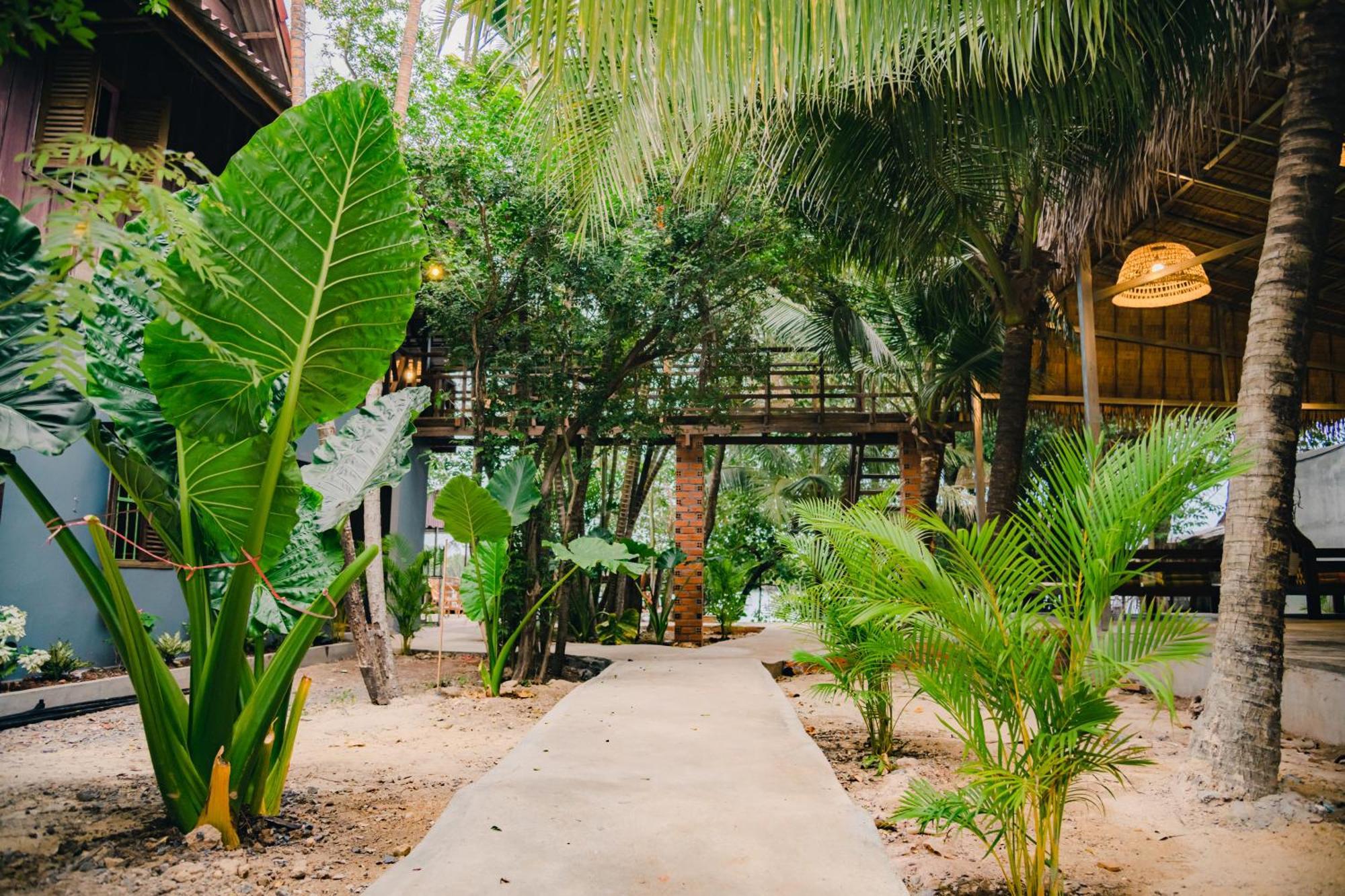 Banyan Tree Hostel Кампот Екстериор снимка