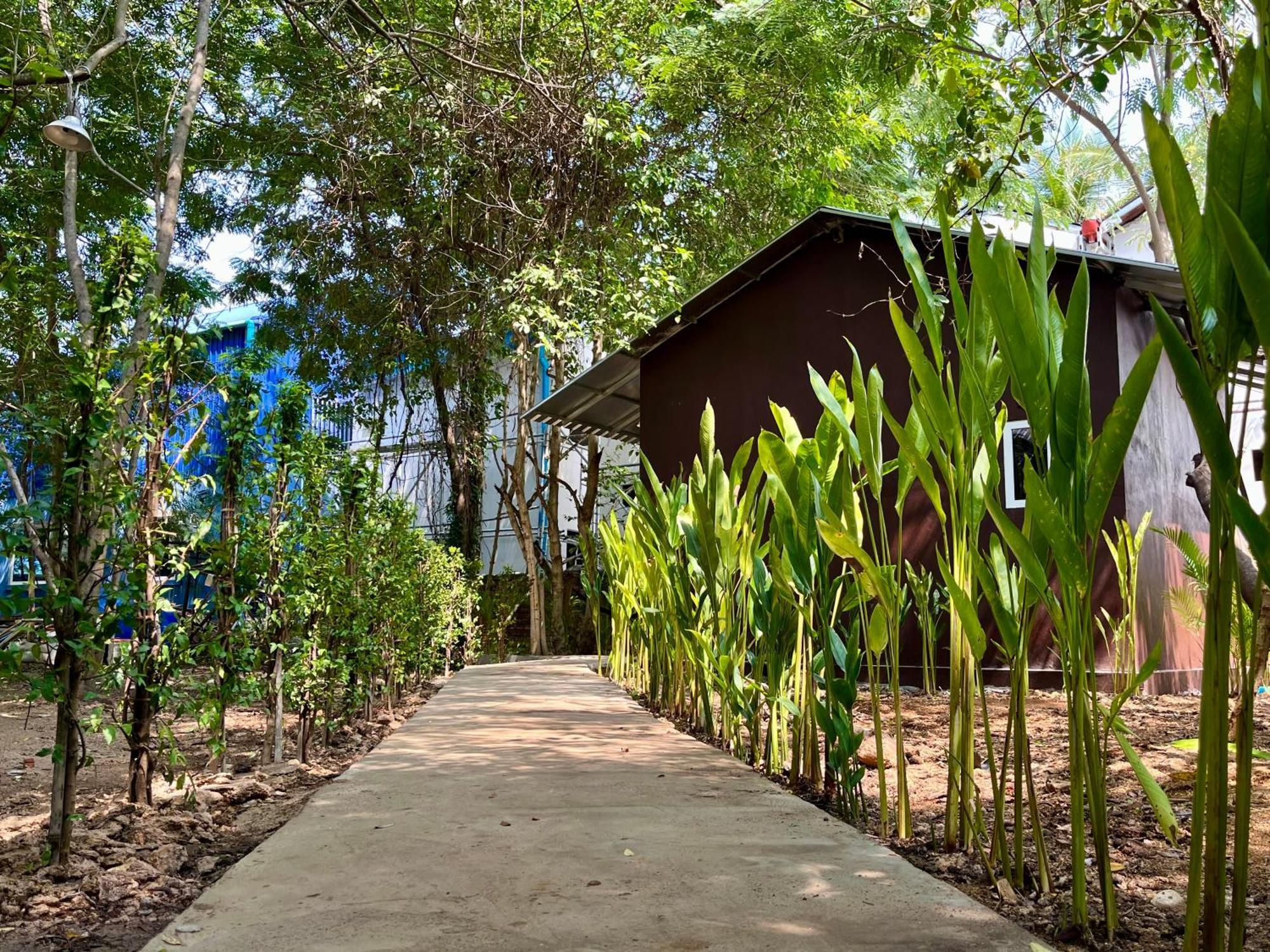 Banyan Tree Hostel Кампот Екстериор снимка