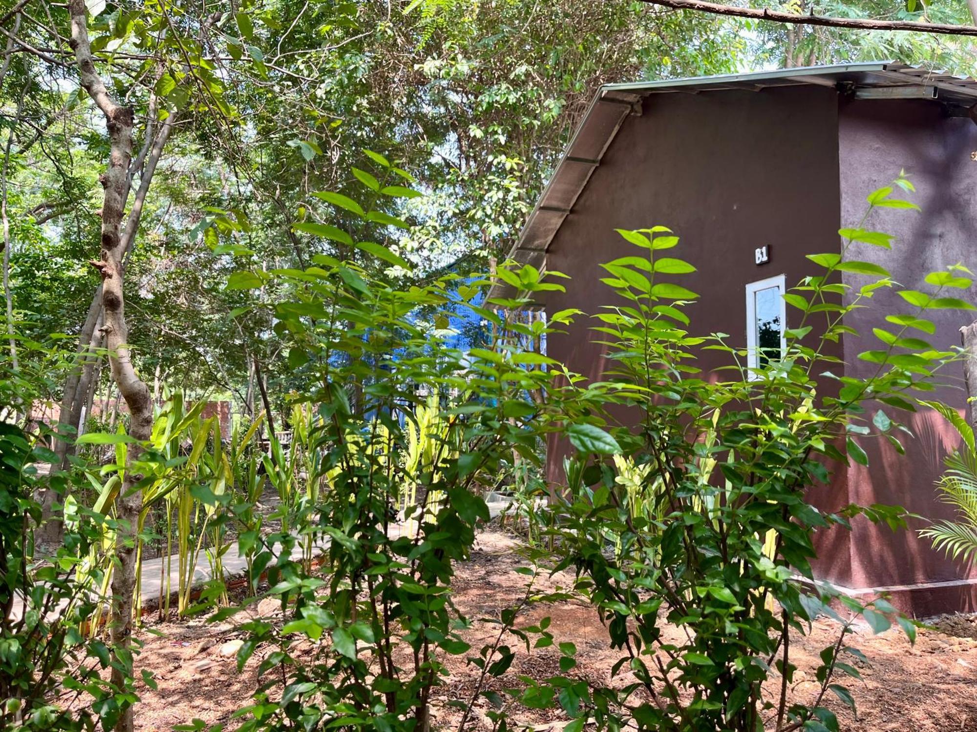 Banyan Tree Hostel Кампот Екстериор снимка