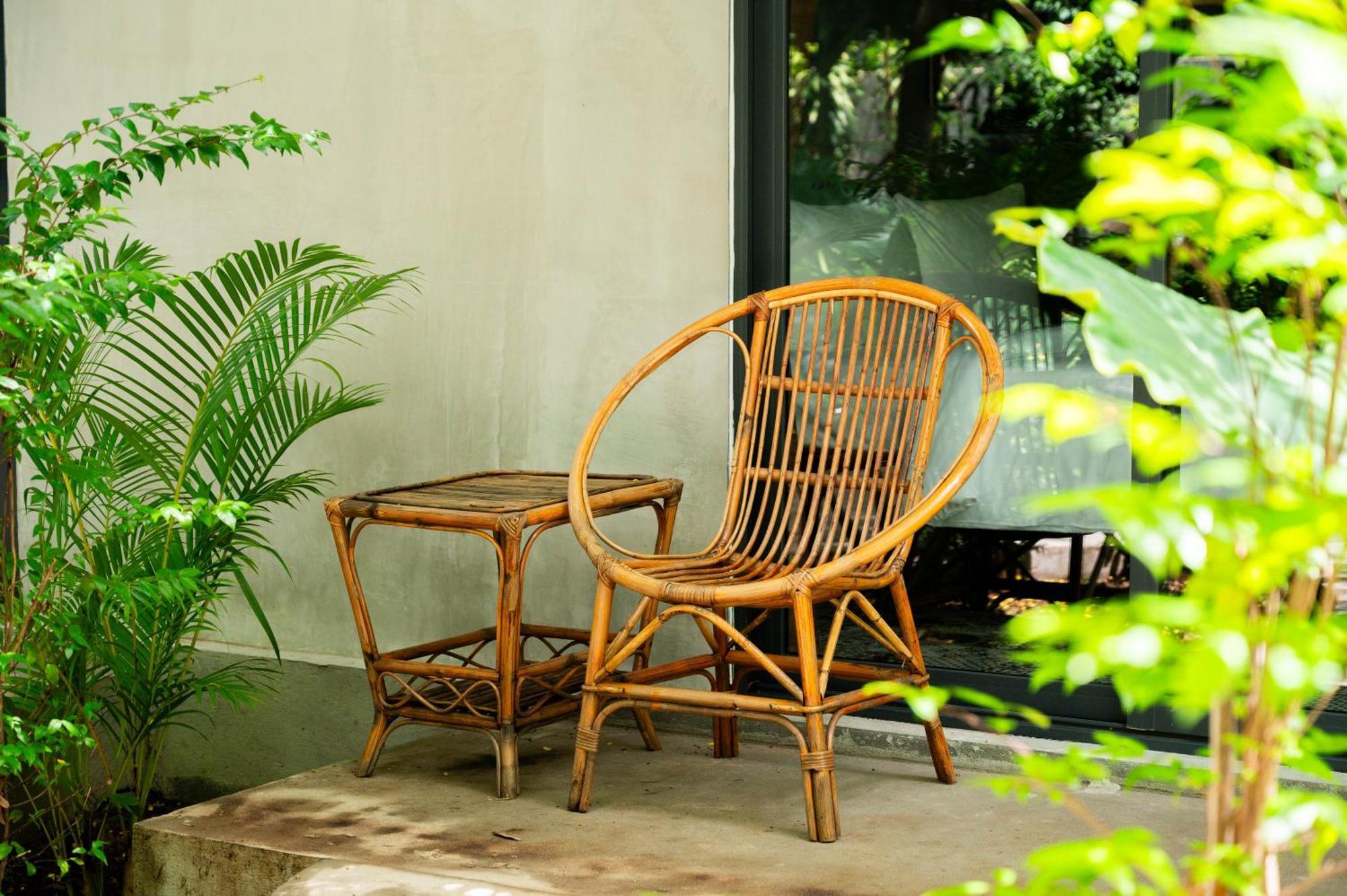 Banyan Tree Hostel Кампот Екстериор снимка